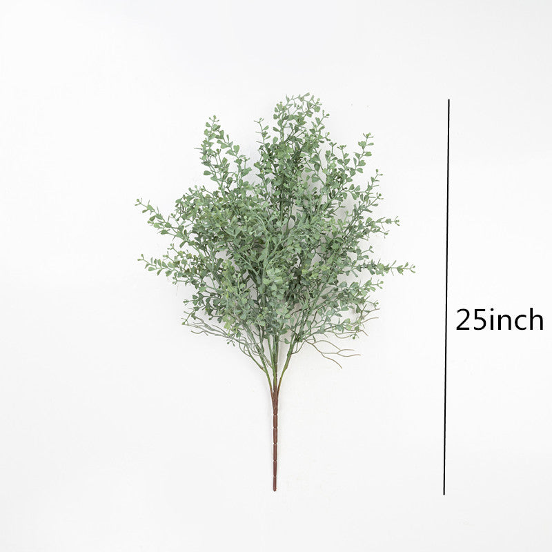 25" PE BOXWOOD BUSH X 5