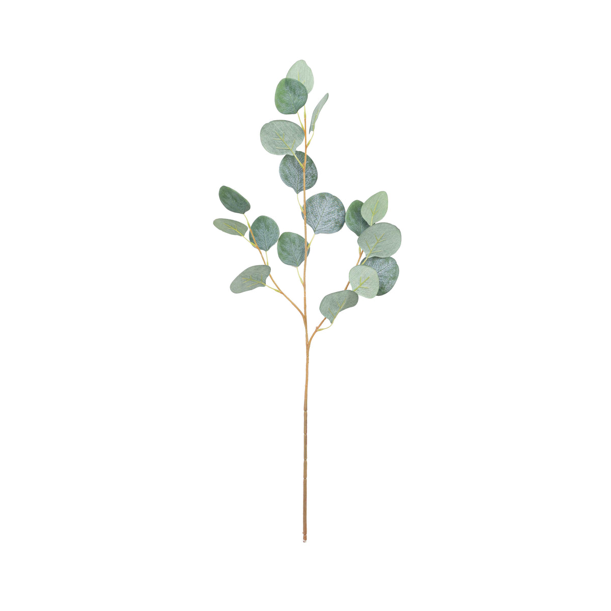 26" EUCALYPTUS SPRAY