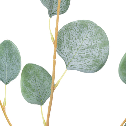 26" EUCALYPTUS SPRAY