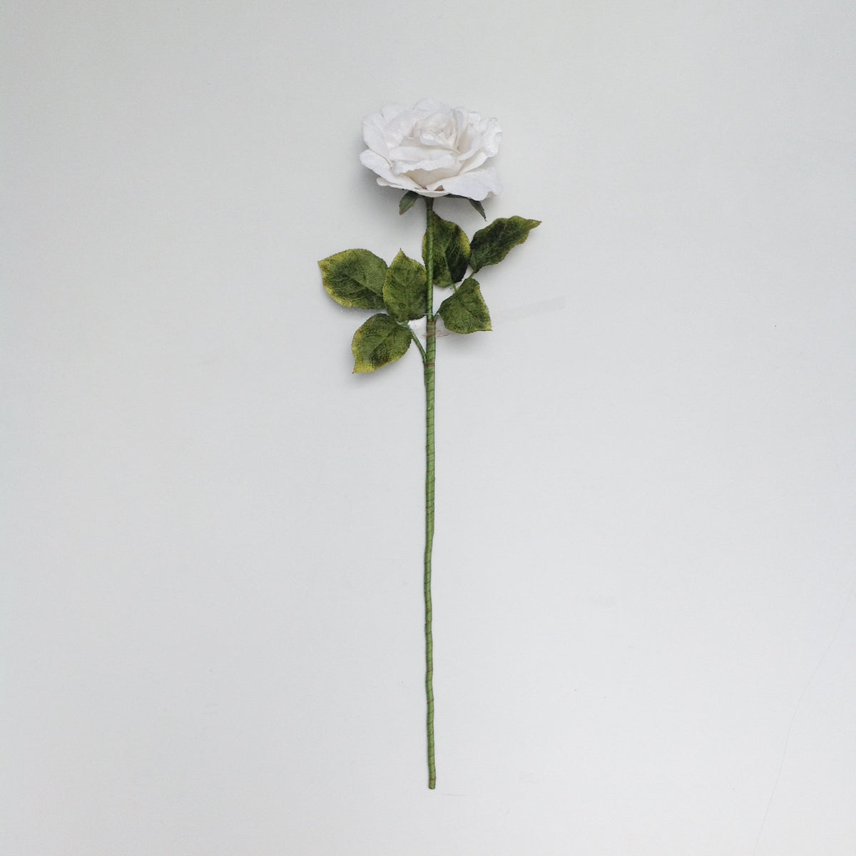 25" ROSE NATURAL STEM