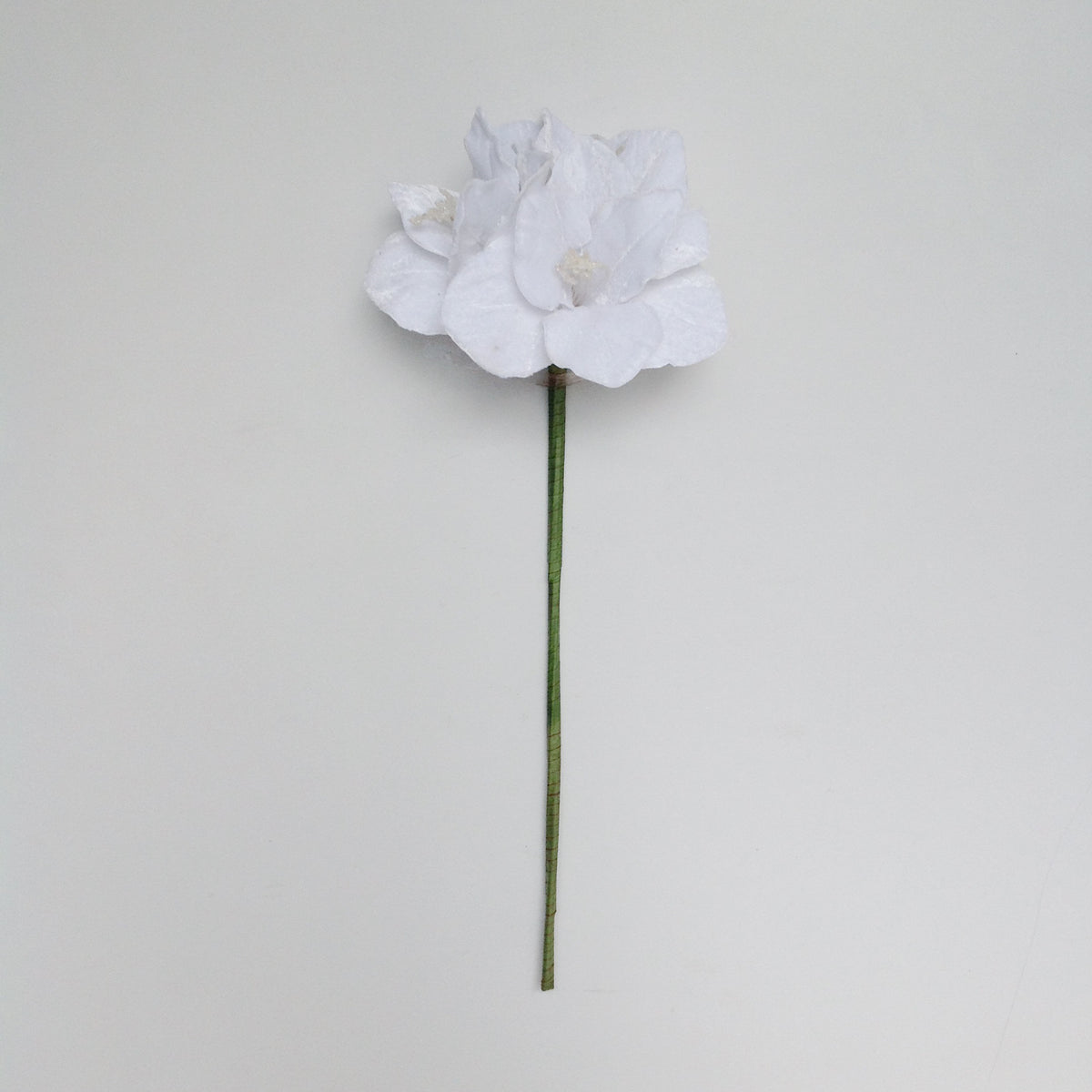 24" NATURAL AMARYLLIS STEM