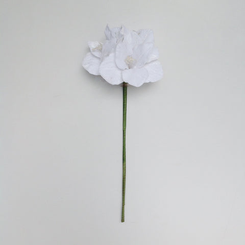 24" NATURAL AMARYLLIS STEM