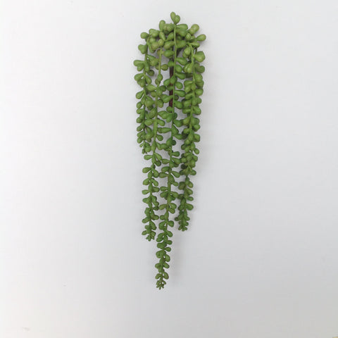 19" STRING PEARL SUCCULENT