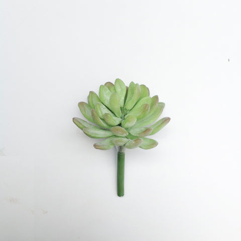 3.5"D PL. JADE SUCCULENT PICK
