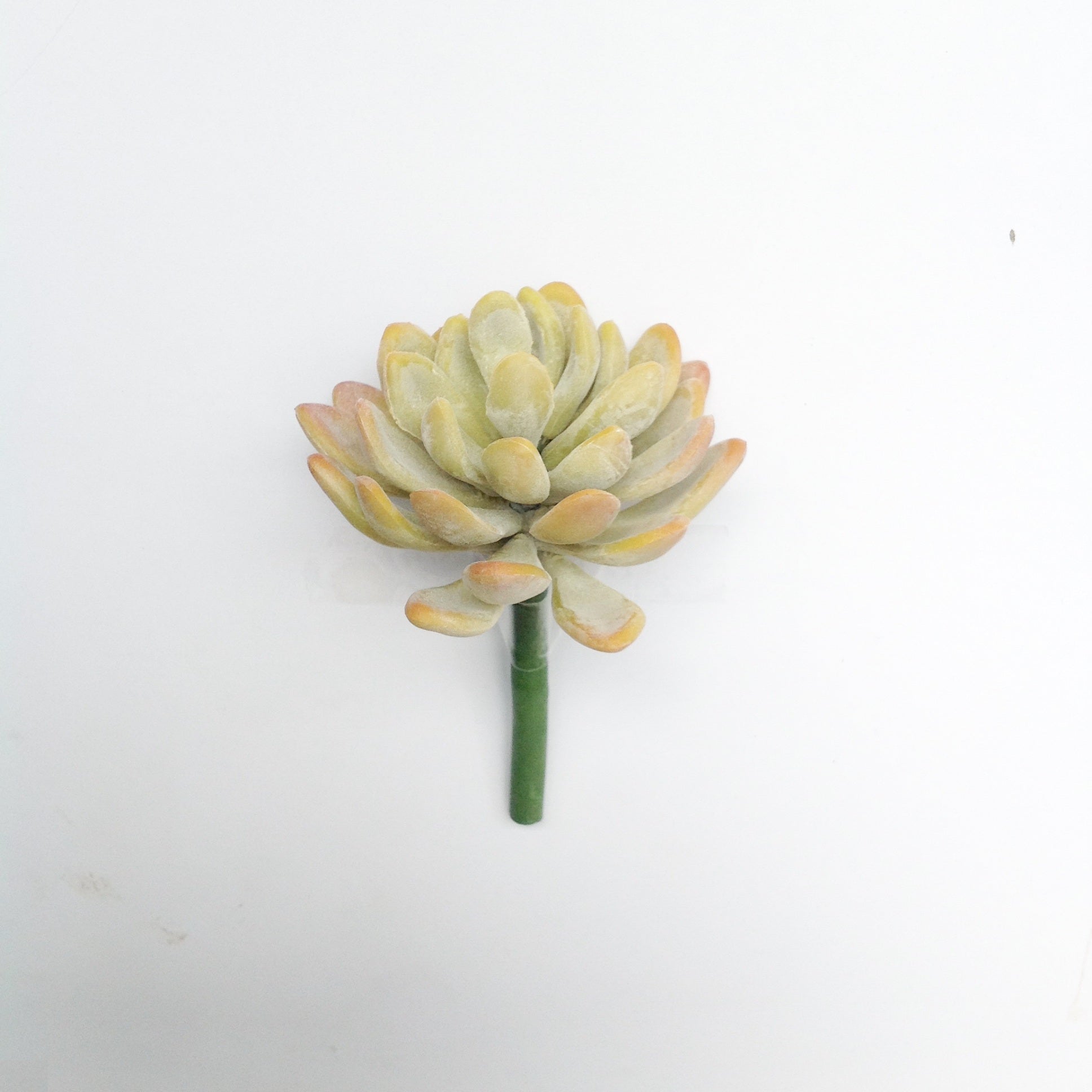 3.5"D PL. JADE SUCCULENT PICK