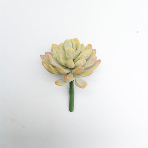 3.5"D PL. JADE SUCCULENT PICK