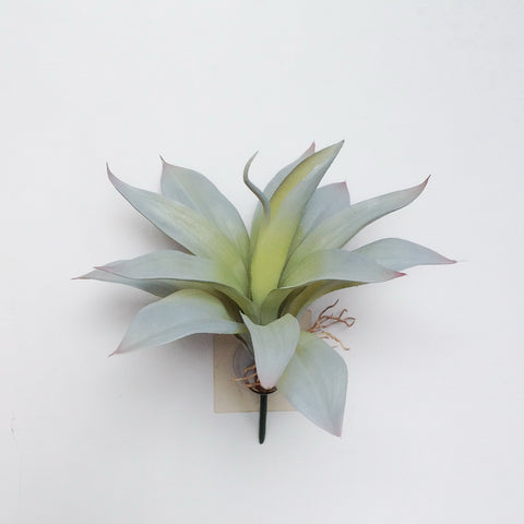 9" LG ALOE SUCCULENT PICK