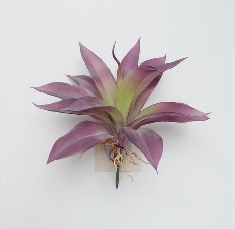 9" LG ALOE SUCCULENT PICK