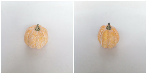 4" WP WEATHERED PUMPKIN 2AST