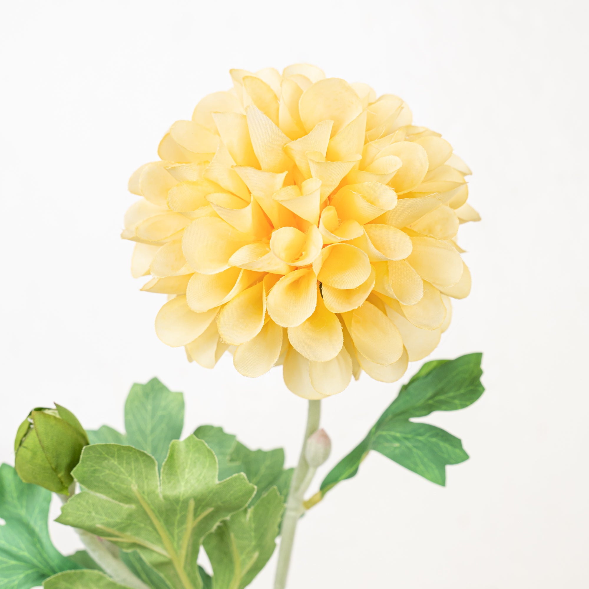 21" DAHLIA STEM