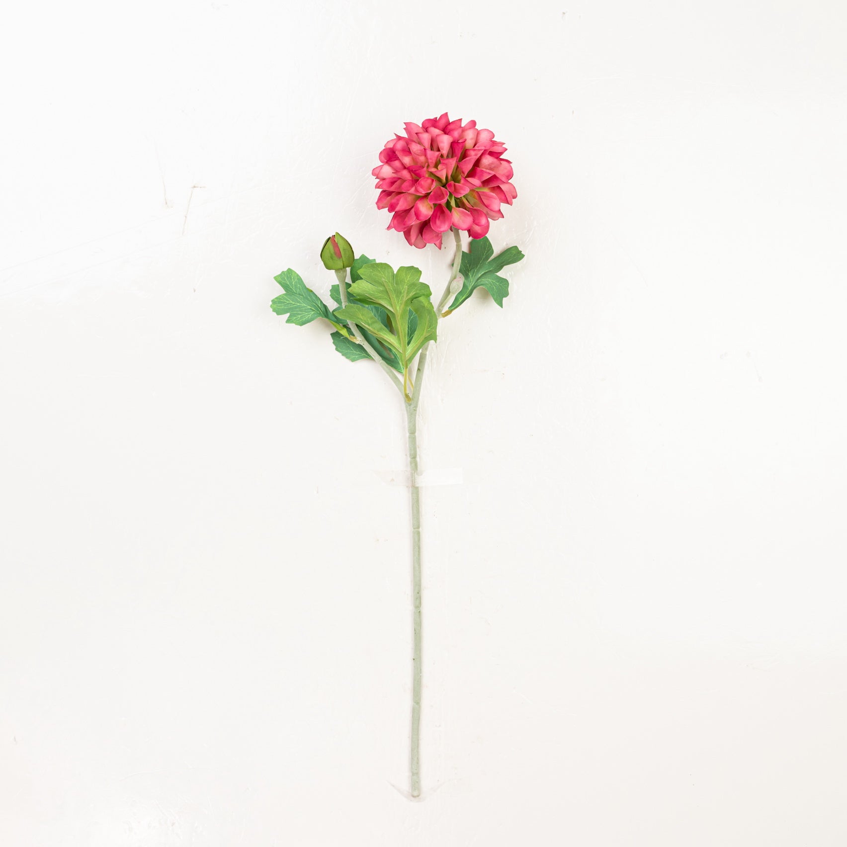 21" DAHLIA STEM