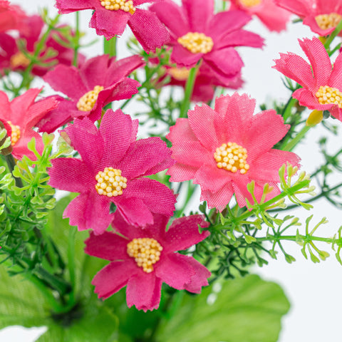 12.5" DAISY BUSH