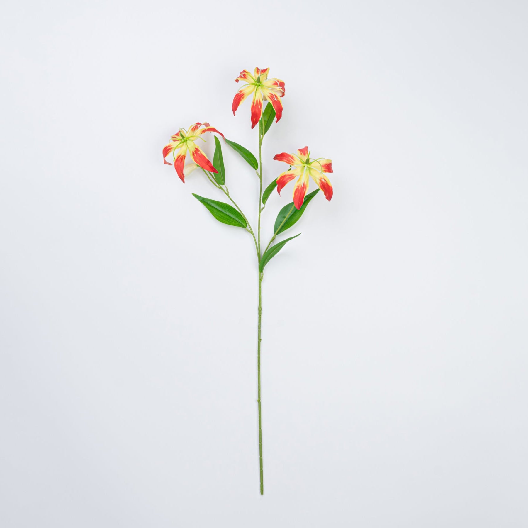 31.5" GLORIOSA SPRAY