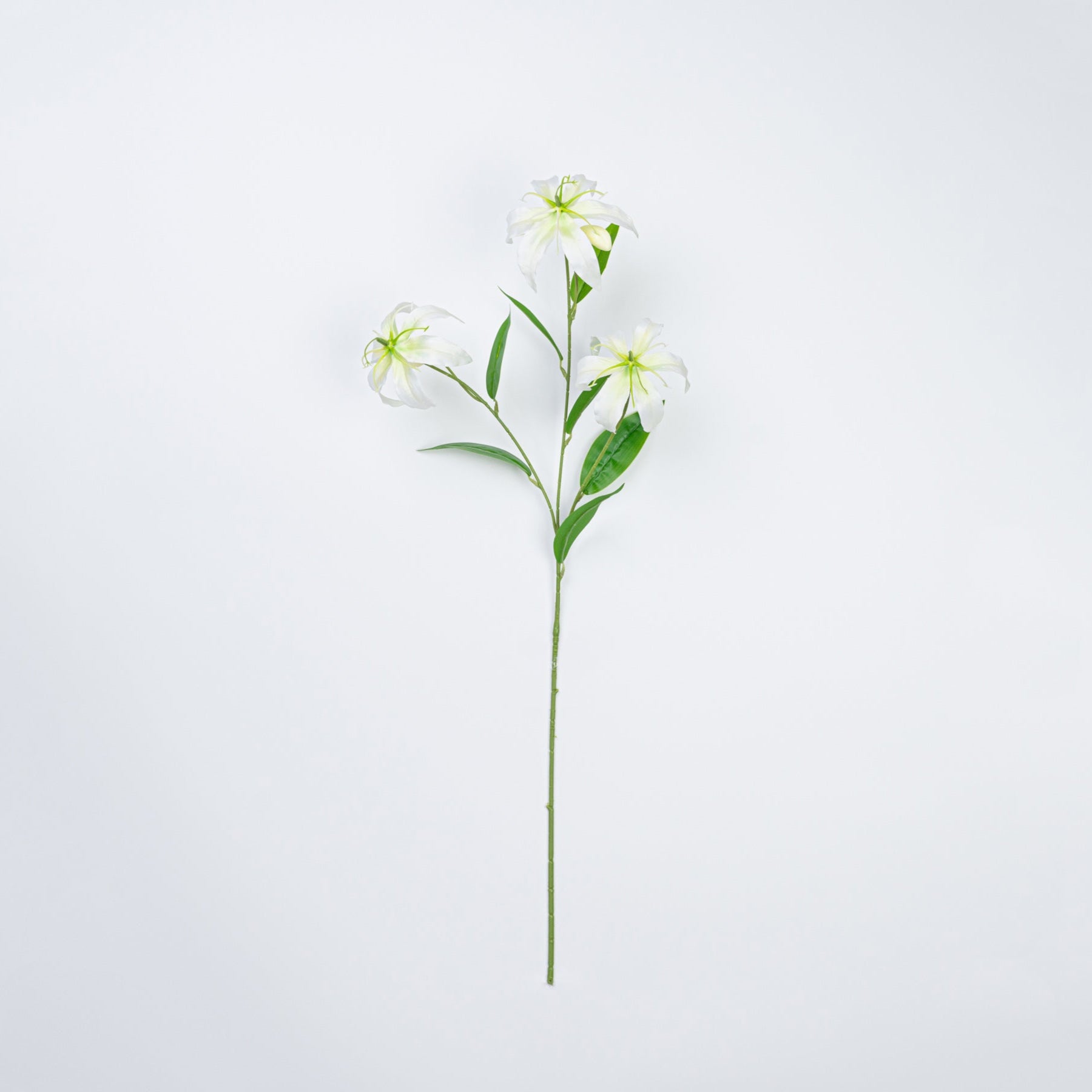 31.5" GLORIOSA SPRAY