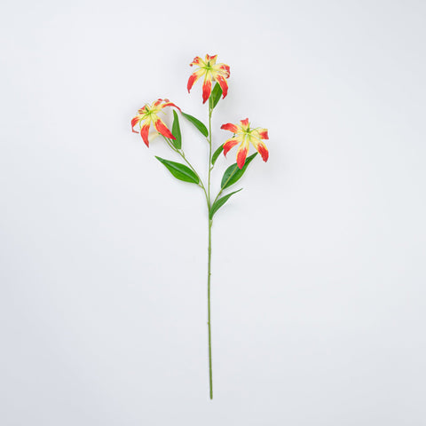 31.5" GLORIOSA SPRAY