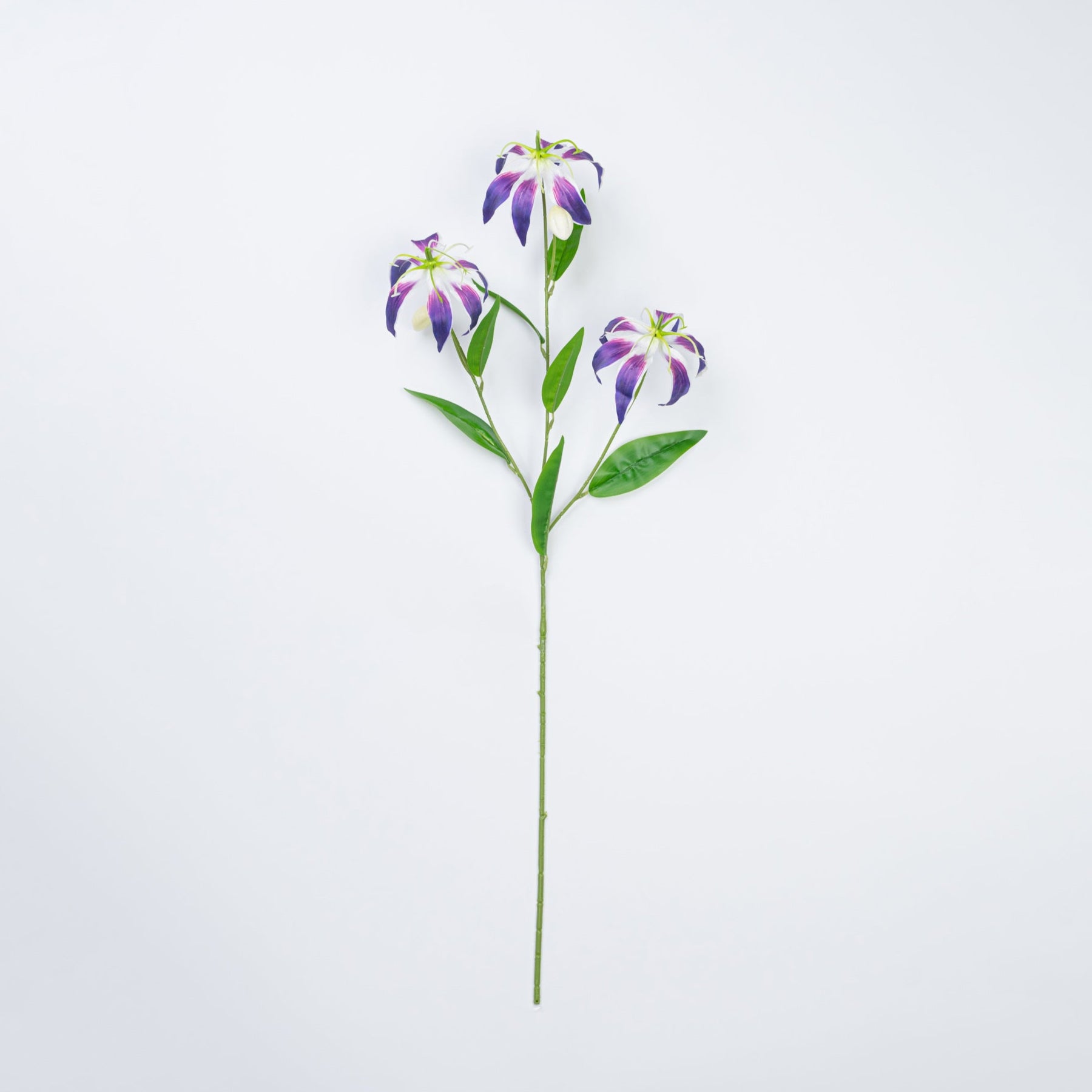 31.5" GLORIOSA SPRAY