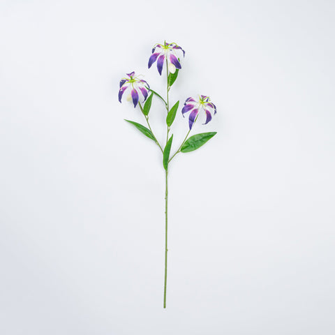 31.5" GLORIOSA SPRAY