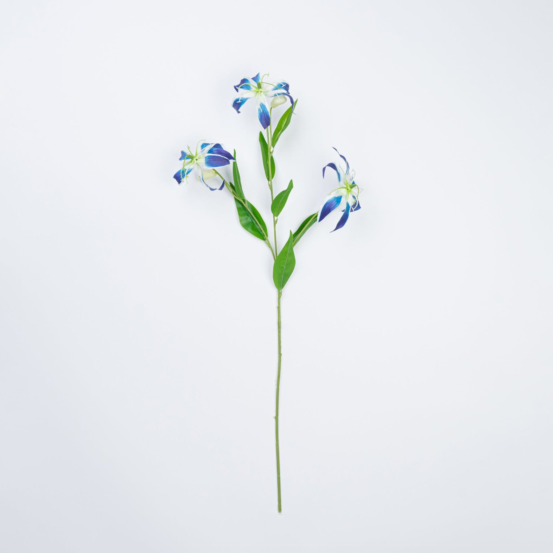 31.5" GLORIOSA SPRAY