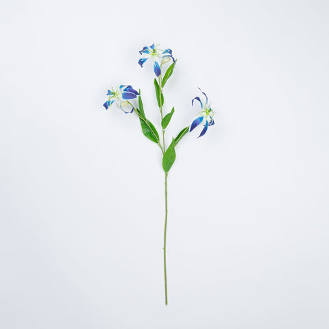 31.5" GLORIOSA SPRAY