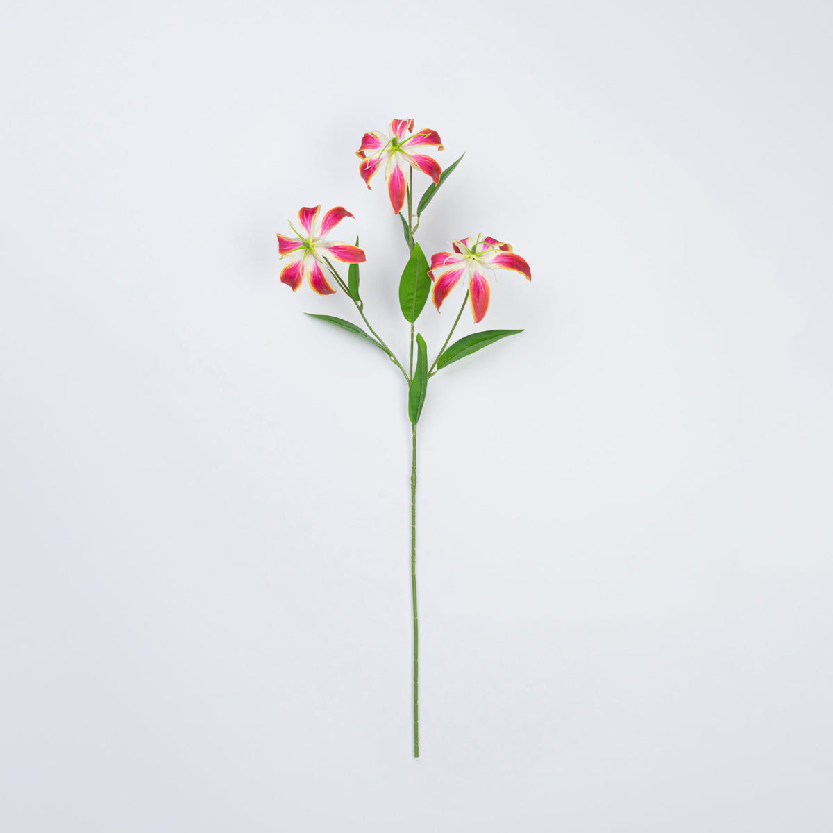 31.5" GLORIOSA SPRAY