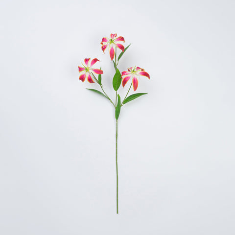 31.5" GLORIOSA SPRAY