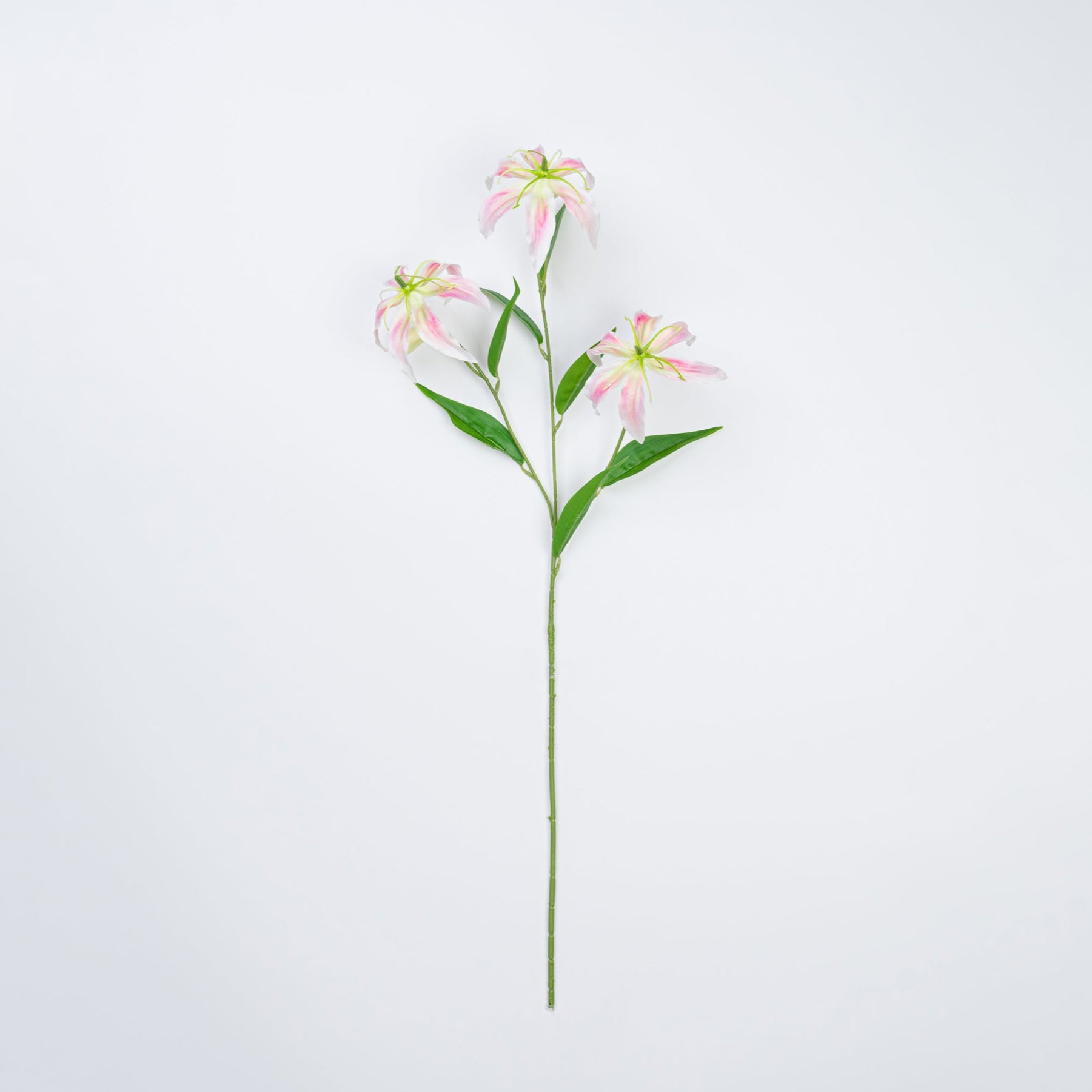 31.5" GLORIOSA SPRAY