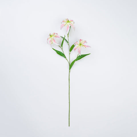 31.5" GLORIOSA SPRAY