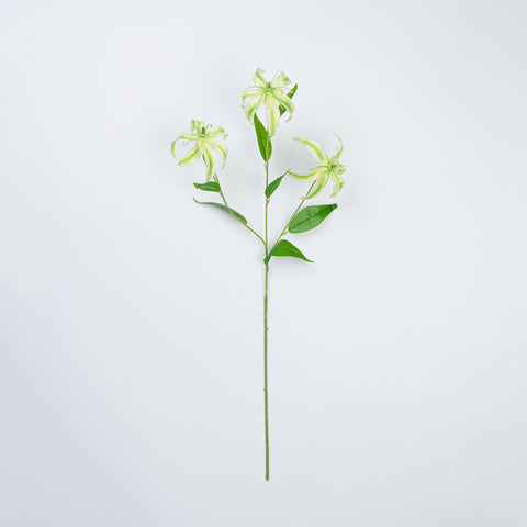 31.5" GLORIOSA SPRAY