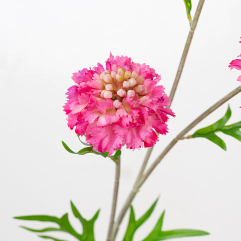 22.5" CORNFLOWER SPRAY