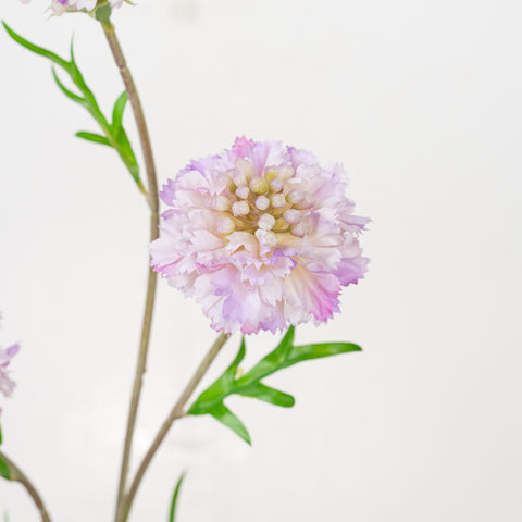 22.5" CORNFLOWER SPRAY