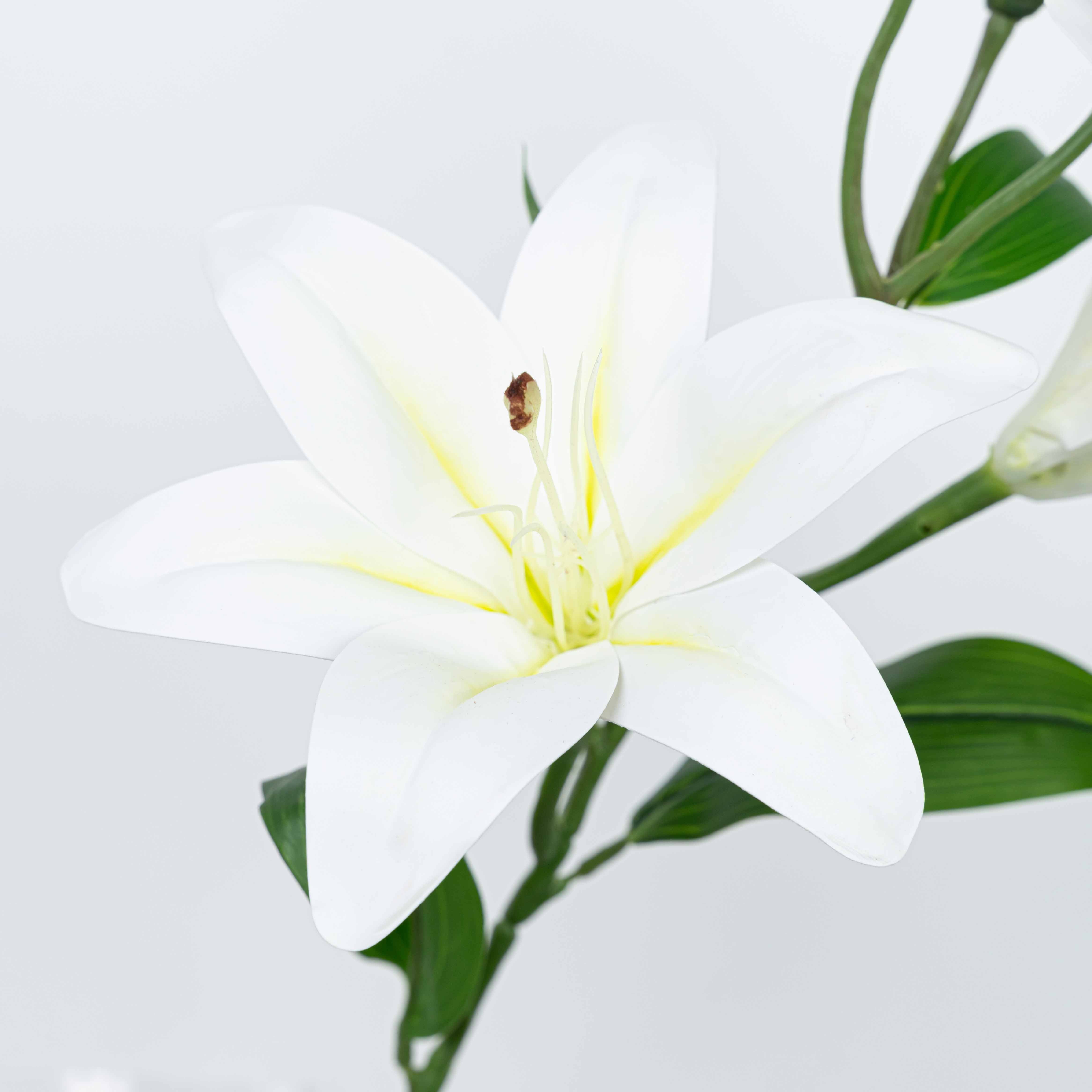 25" TIGER LILY SPRAY