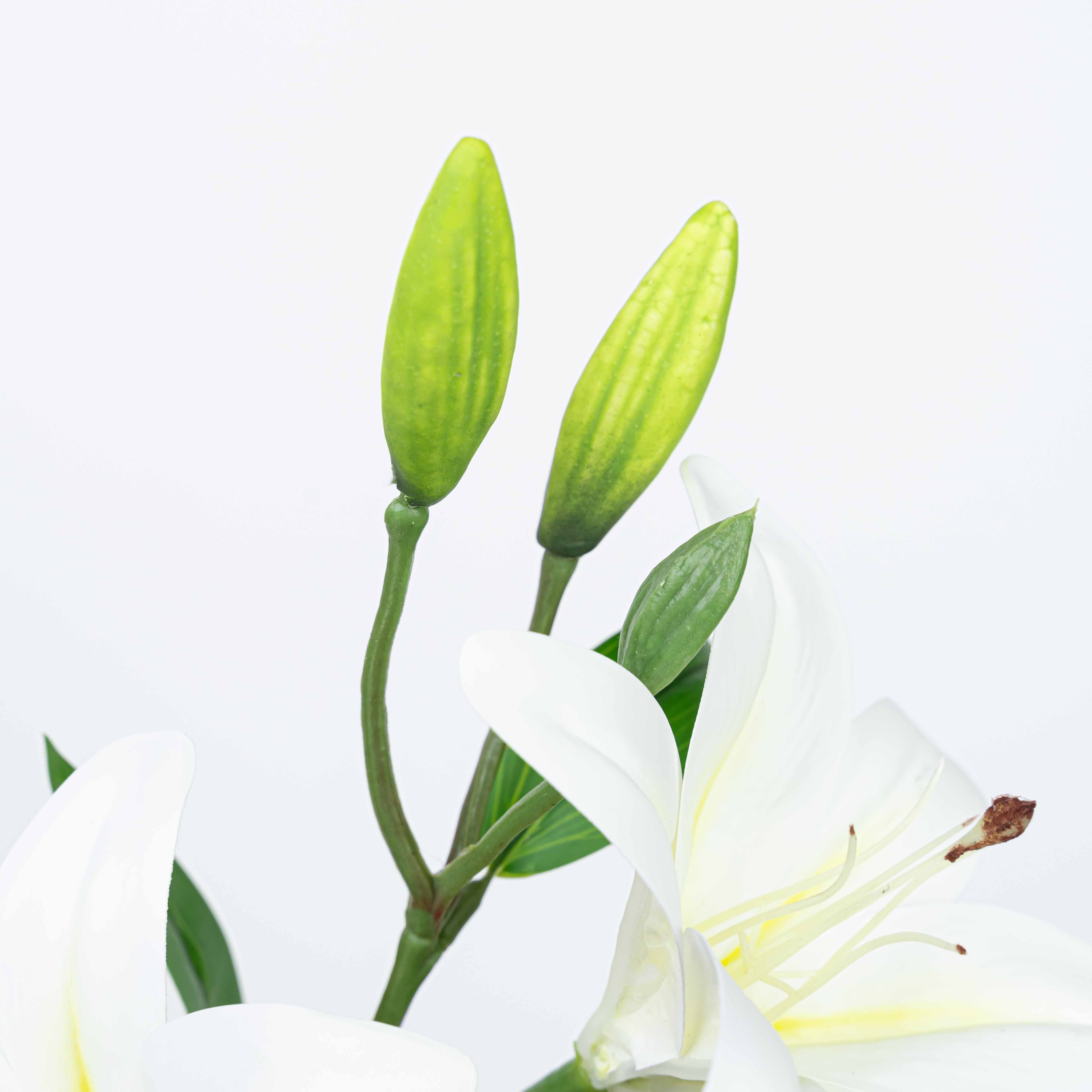 25" TIGER LILY SPRAY