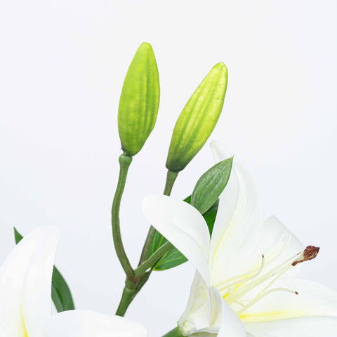 25" TIGER LILY SPRAY