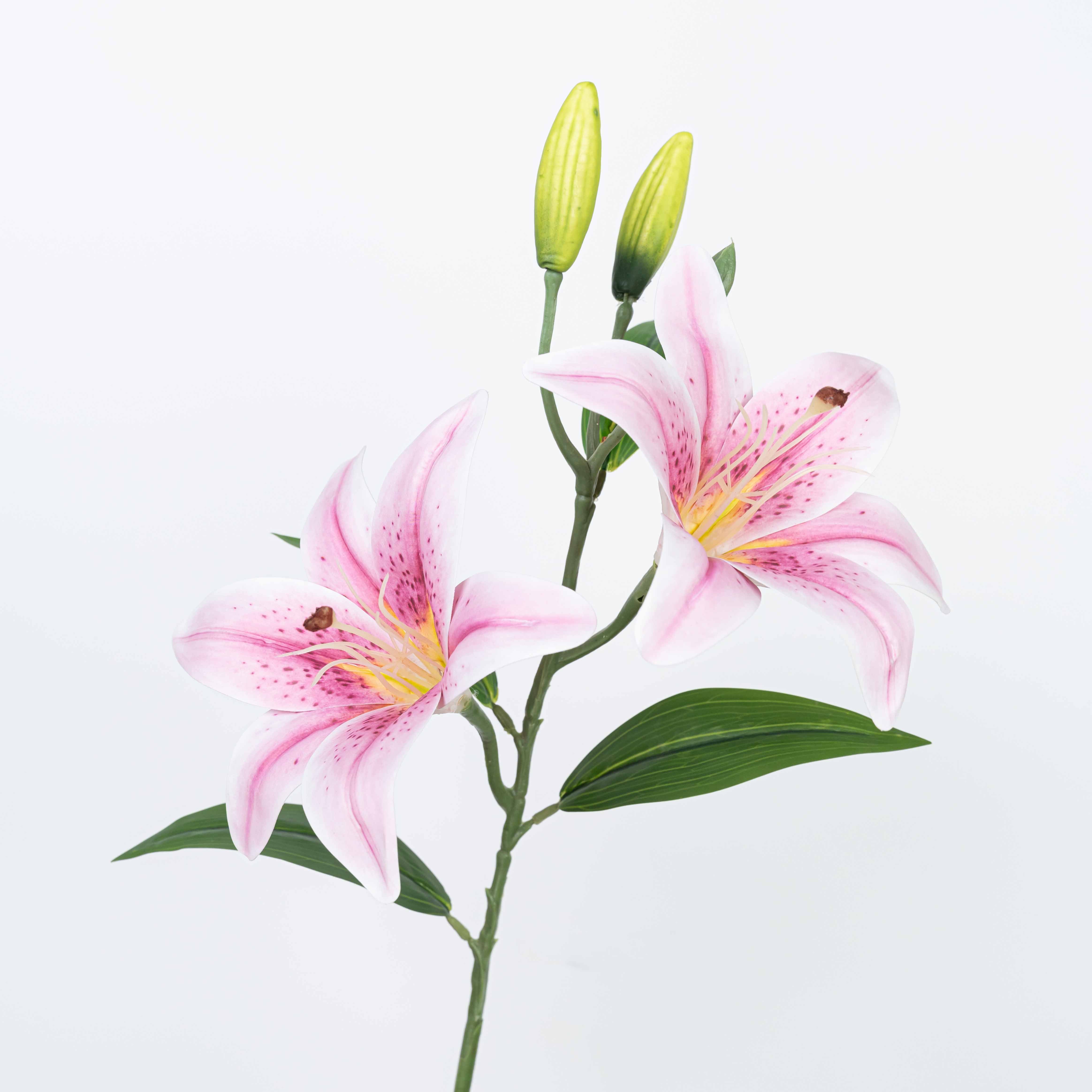 25" TIGER LILY SPRAY