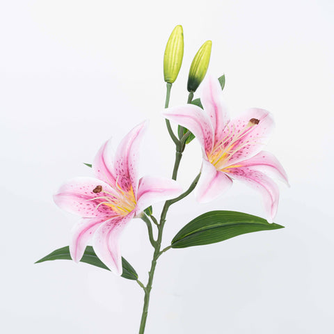 25" TIGER LILY SPRAY