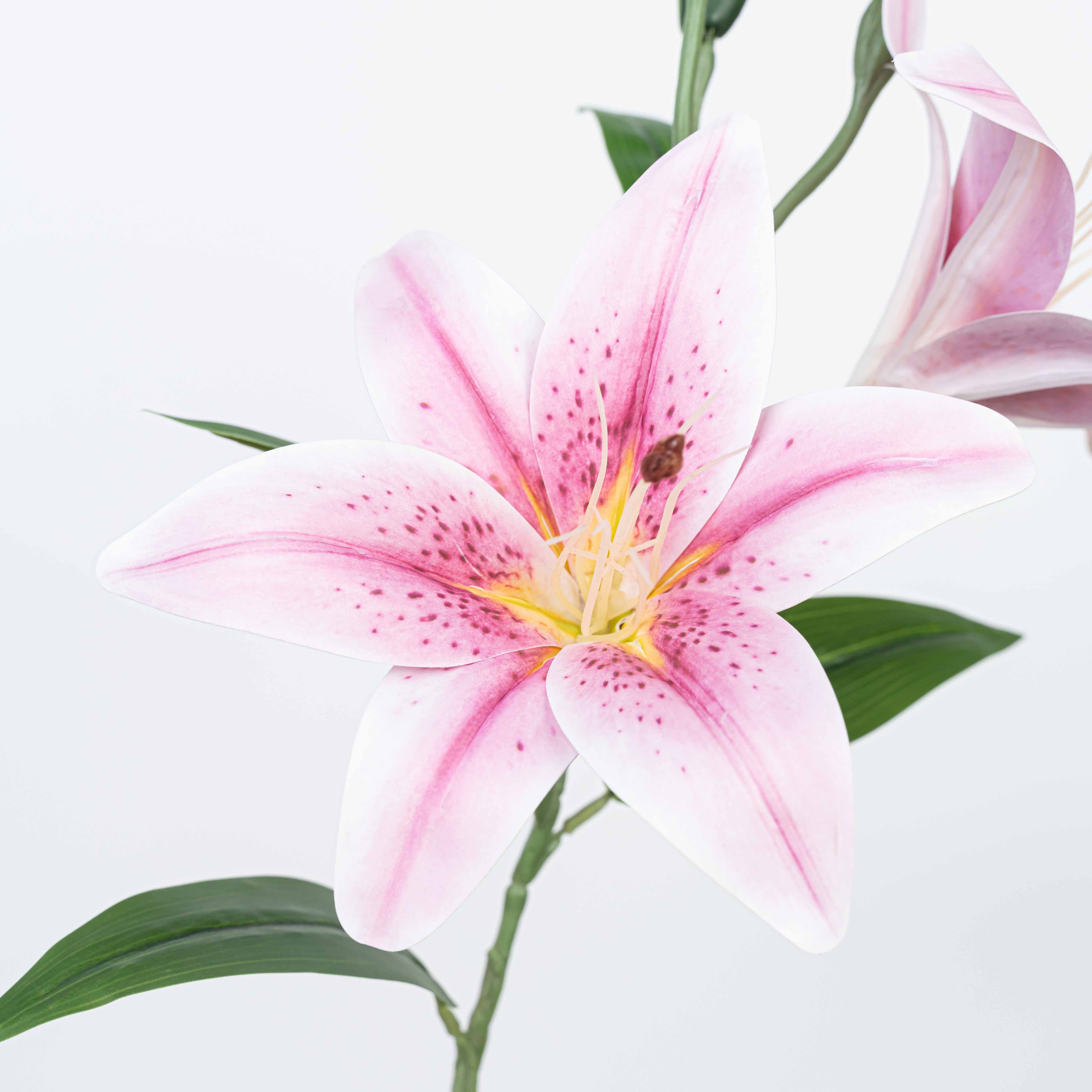 25" TIGER LILY SPRAY