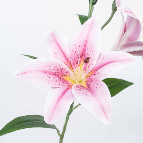 25" TIGER LILY SPRAY