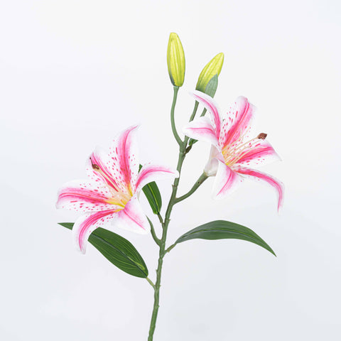 25" TIGER LILY SPRAY