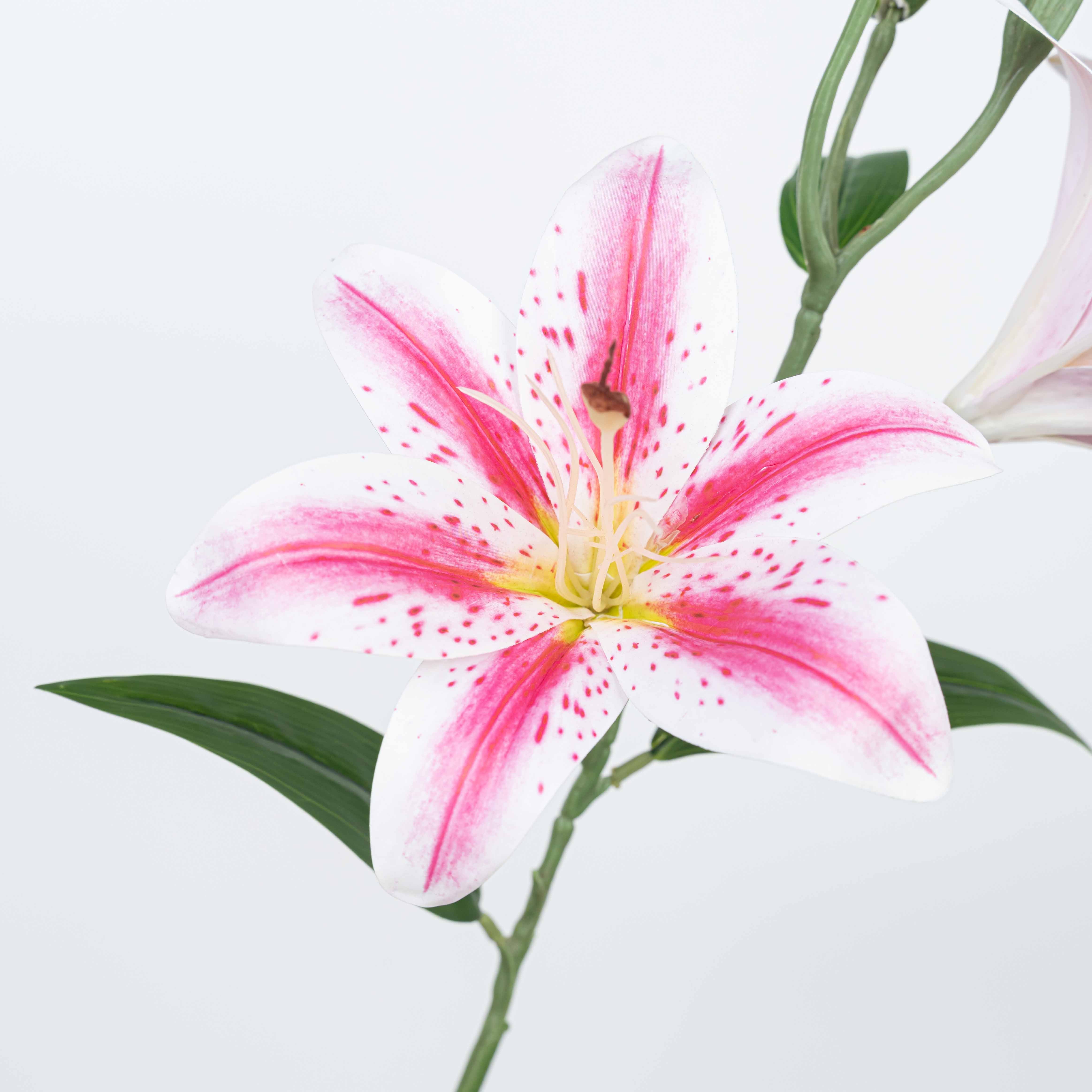 25" TIGER LILY SPRAY