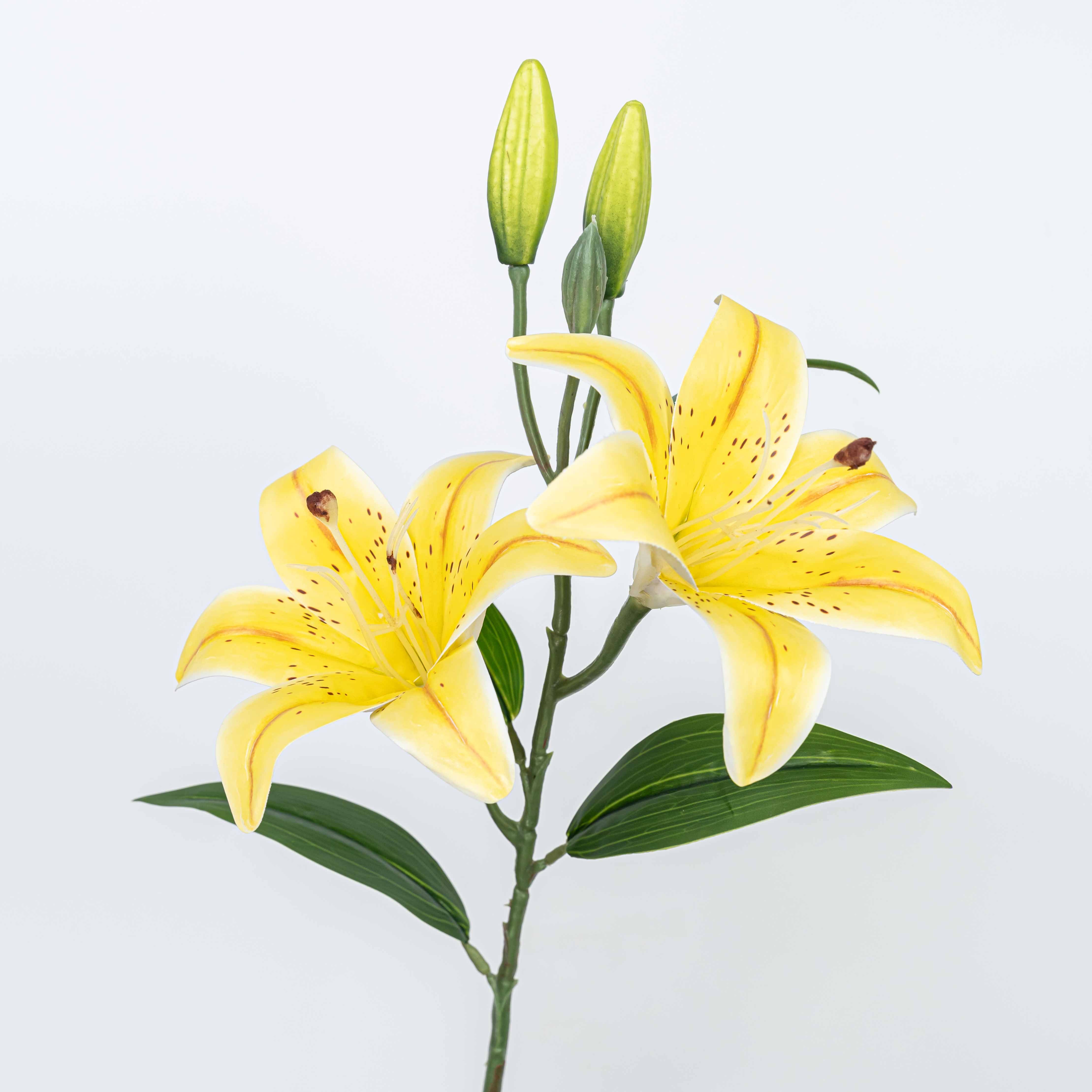25" TIGER LILY SPRAY