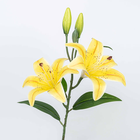 25" TIGER LILY SPRAY