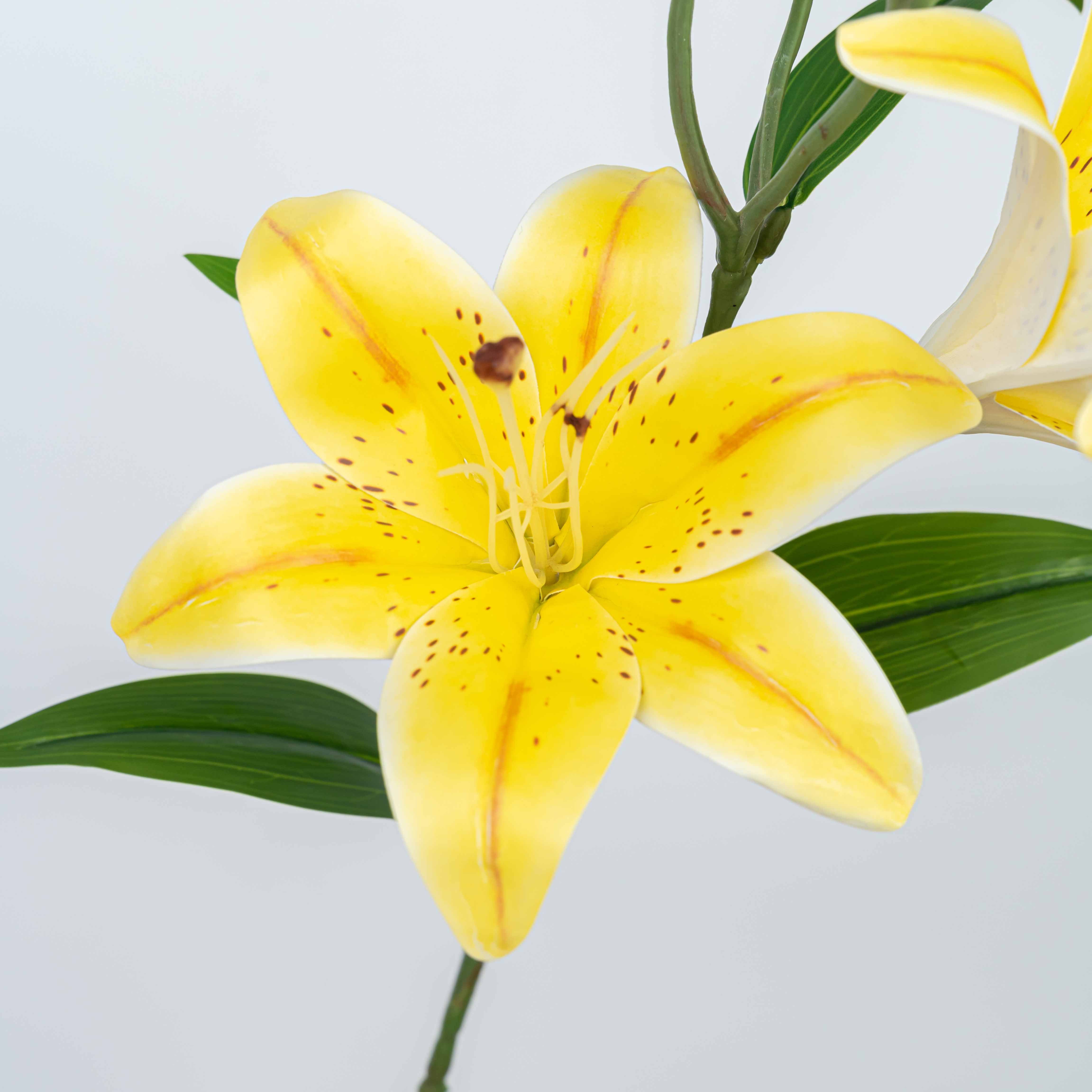 25" TIGER LILY SPRAY