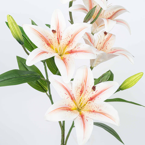 21" LILY BUSH WITH 5 HEADS