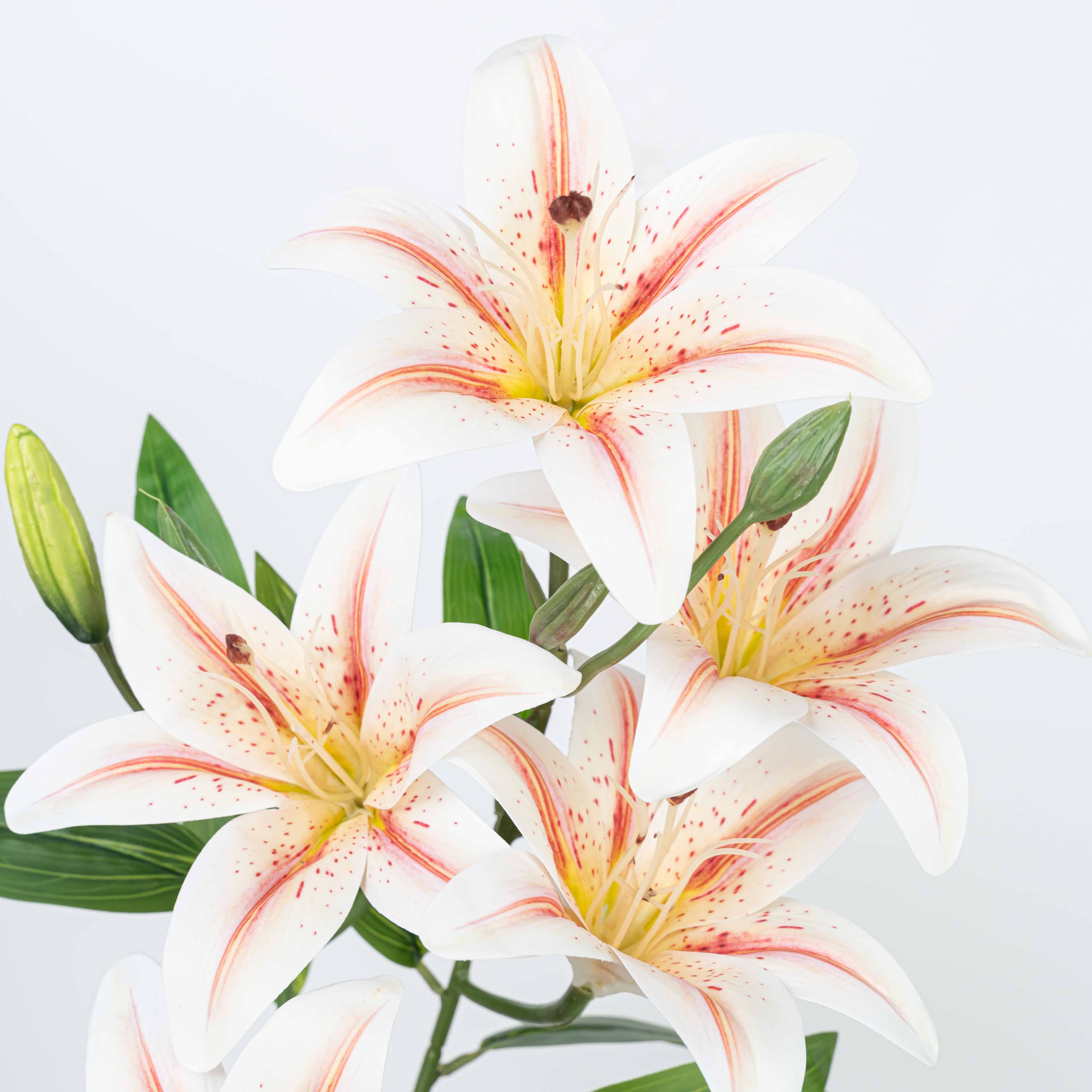 21" LILY BUSH WITH 5 HEADS