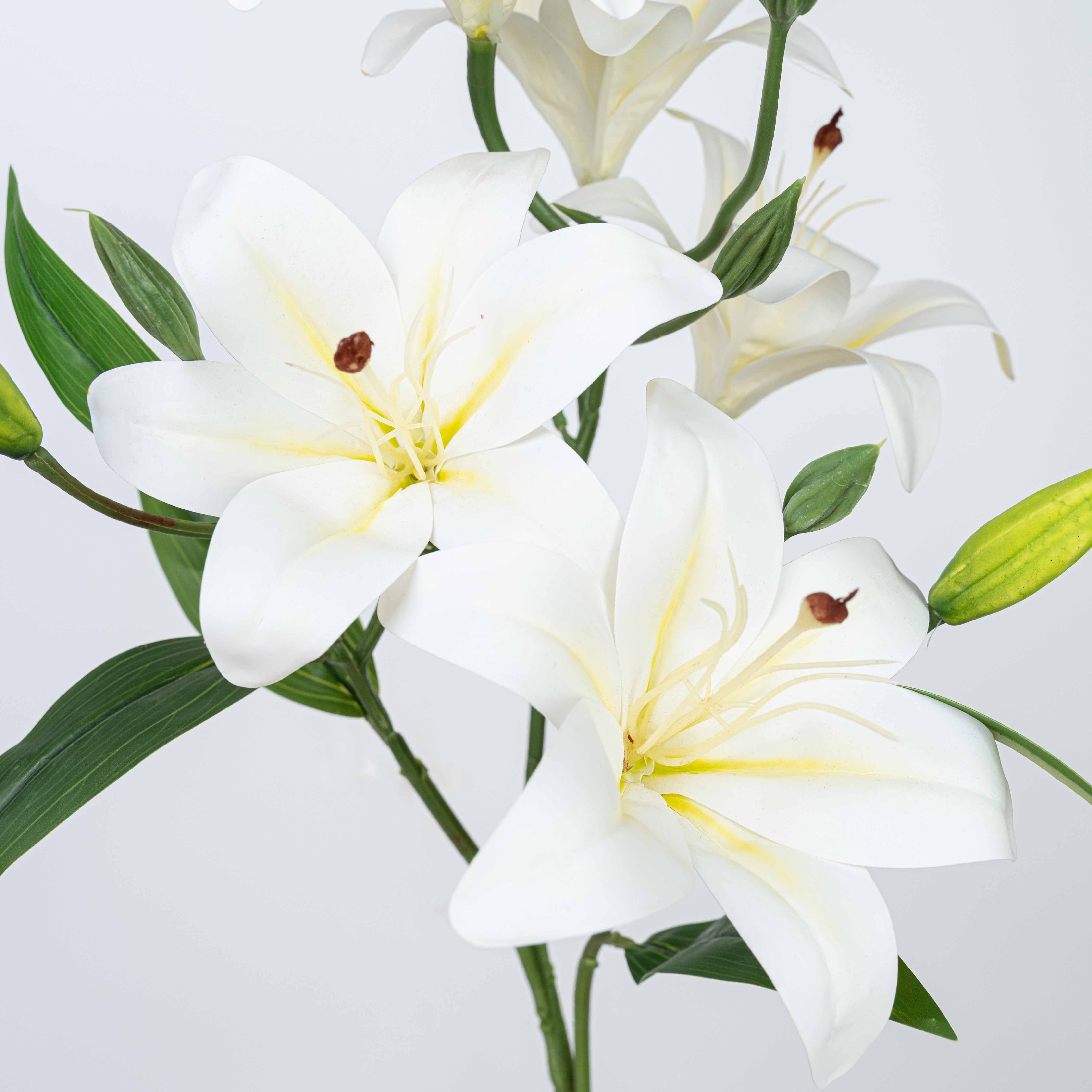 21" LILY BUSH WITH 5 HEADS