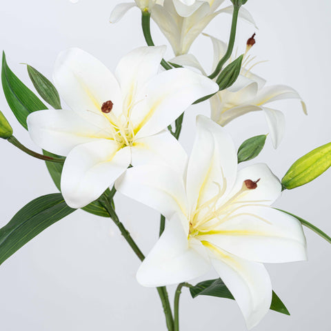 21" LILY BUSH WITH 5 HEADS