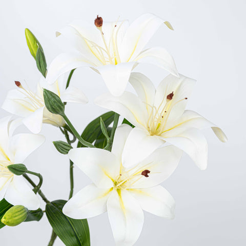 21" LILY BUSH WITH 5 HEADS