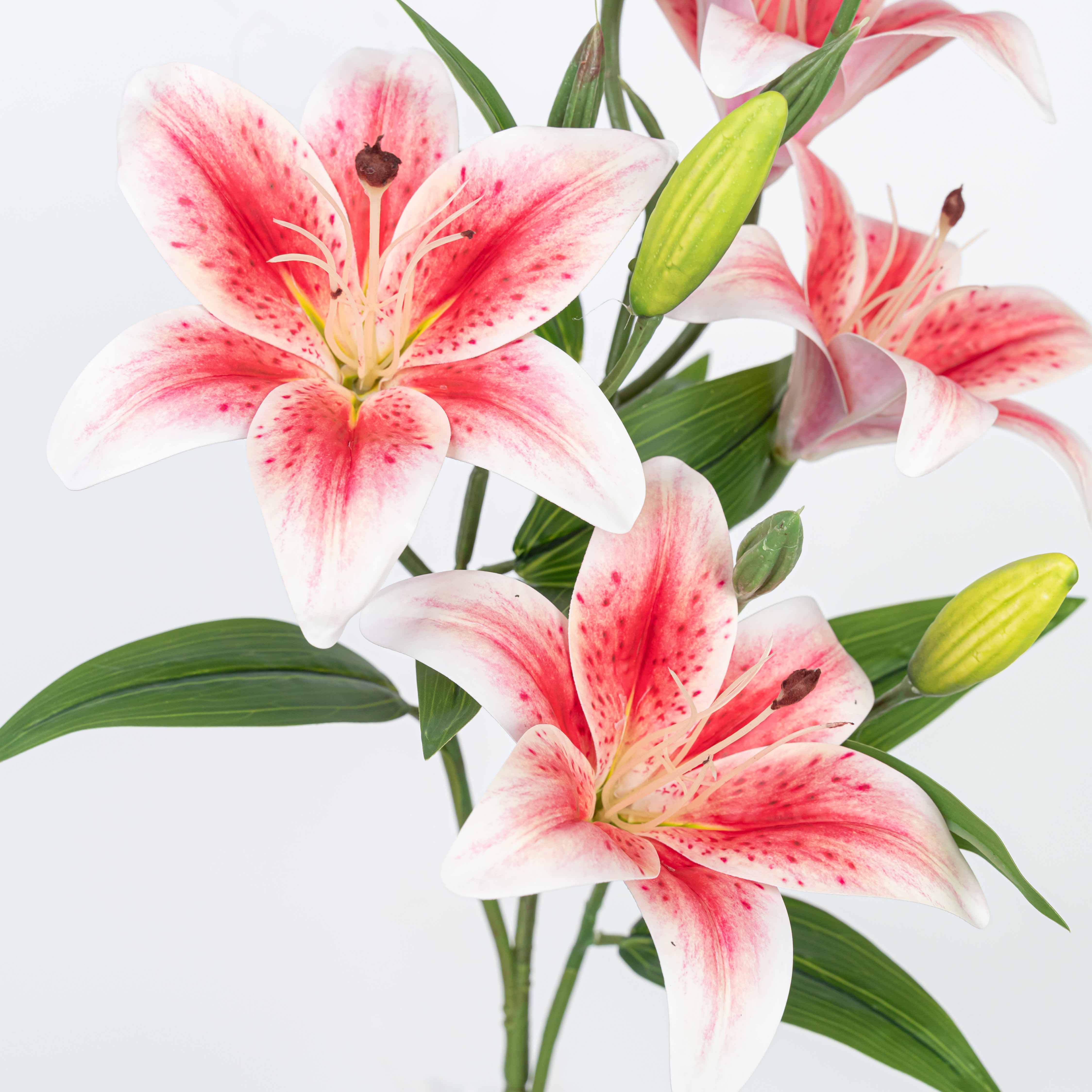 21" LILY BUSH WITH 5 HEADS