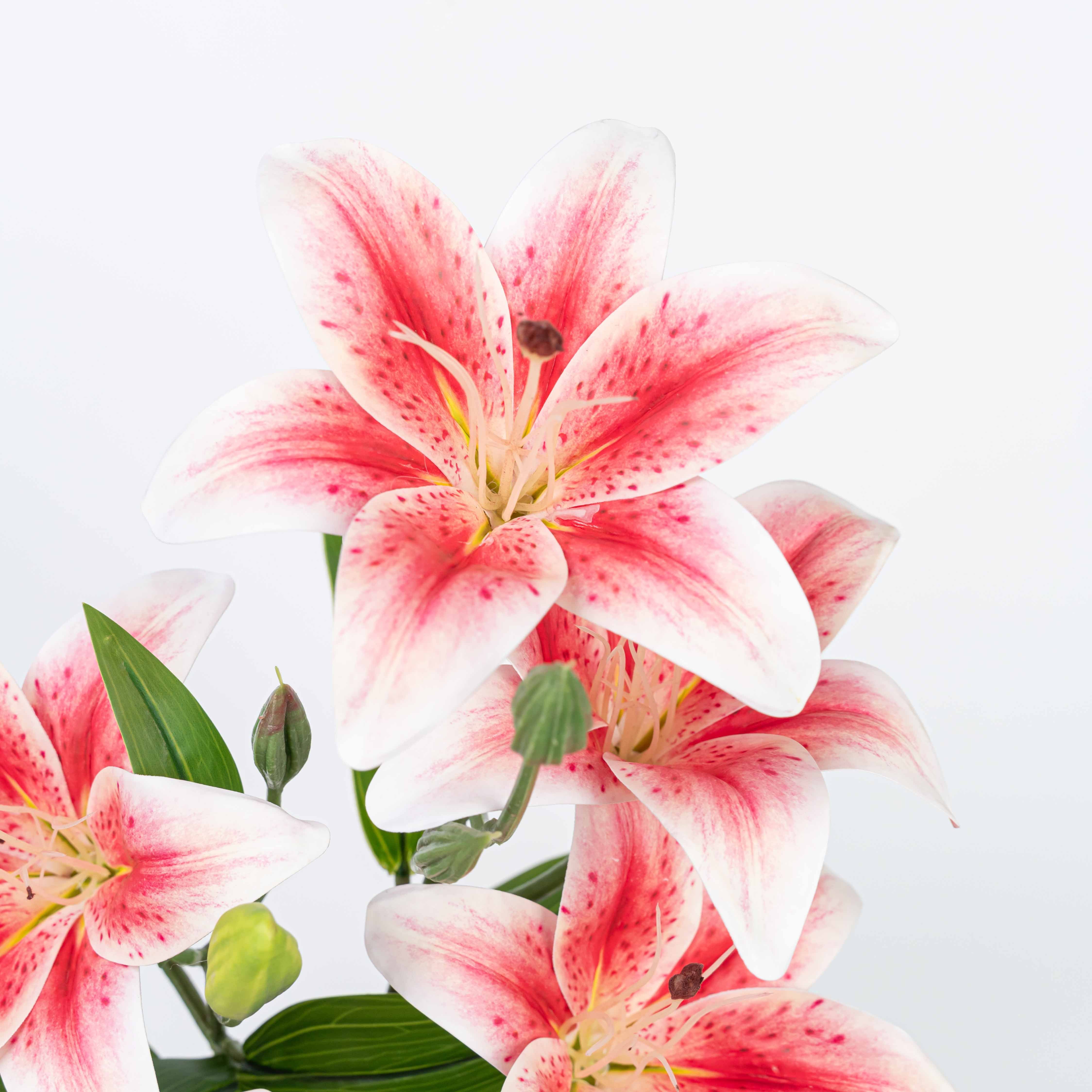 21" LILY BUSH WITH 5 HEADS