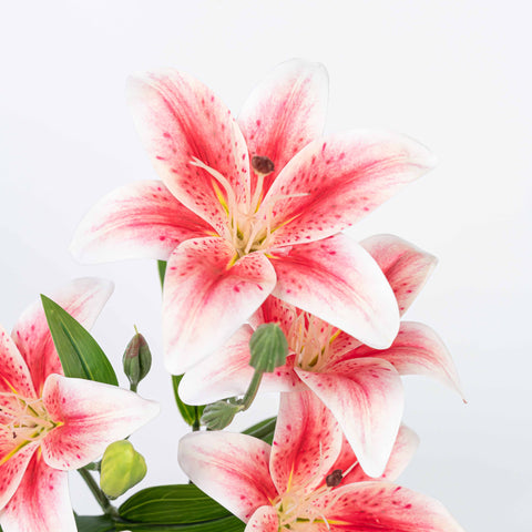 21" LILY BUSH WITH 5 HEADS